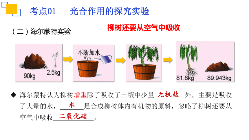 专题07 绿色植物的光合作用课件(共18张PPT)2023年中考生物复习