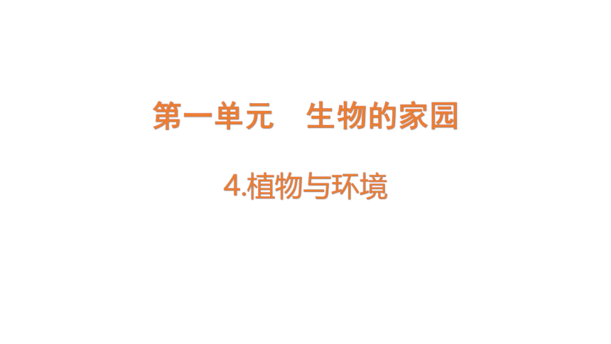 大象版（2017秋） 六年级下册1.4  植物与环境 课件(共21张PPT)