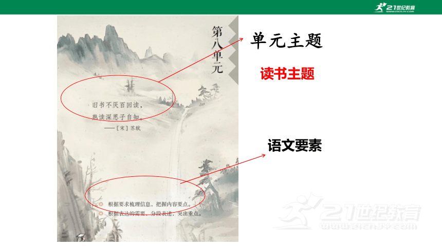 五年级上册语文部编版第八单元复习【第一课时】  课件