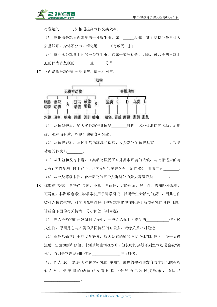 苏教版初中生物八年级上册14.2千姿百态的动物世界  同步练习（含答案解析）