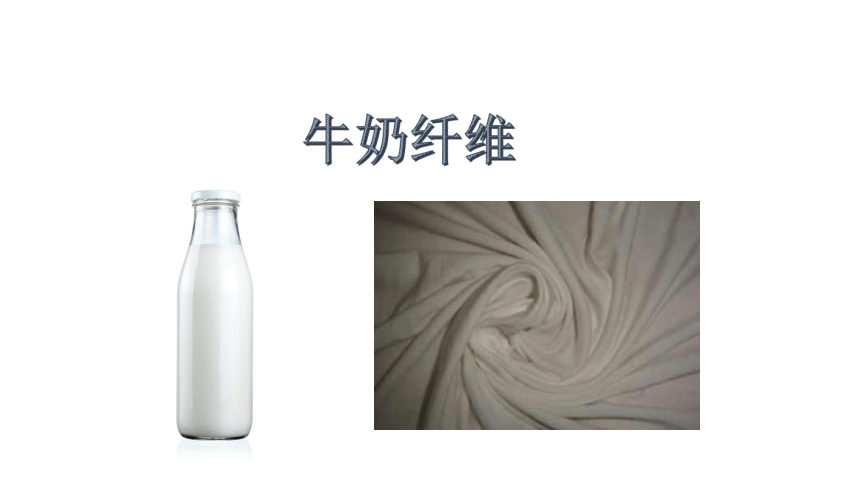 牛奶纤维  课件(共14张PPT)-《服装材料》同步教学（中国纺织出版社）