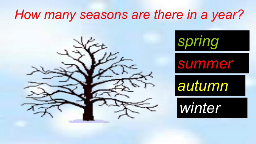 Unit 7  Days and Months Lesson 37 Seasons and Weather（课件16张缺少音频）