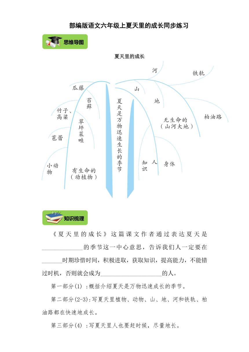 16.夏天里的成长 导学案练习（含答案）