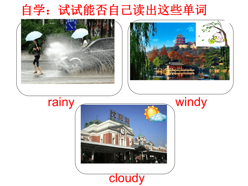 Module 6 Unit 11 What’s the weather like today?课件（共31张ppt）