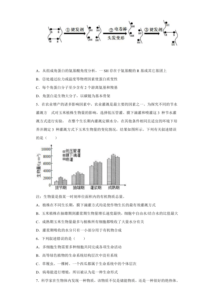 新疆维吾尔自治区喀什地区莎车县第一学校2021-2022学年高一上学期第三次质量检测生物试题（Word版含答案）