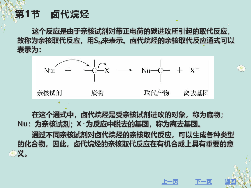 第5章  卤代烃 课件(共54张PPT)《有机化学》同步教学（北京理工出版社）