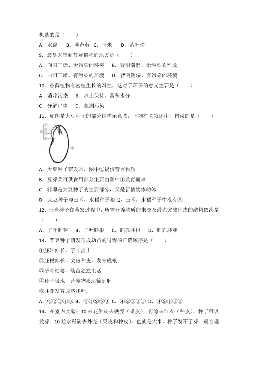 第三单元生物圈中的绿色植物检测题 2022-2023学年人教版生物七年级上册(含答案)