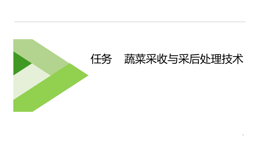 2.4蔬菜采收与采后处理技术 课件(共14张PPT)-《蔬菜生产技术》同步教学（中国农业出版社）