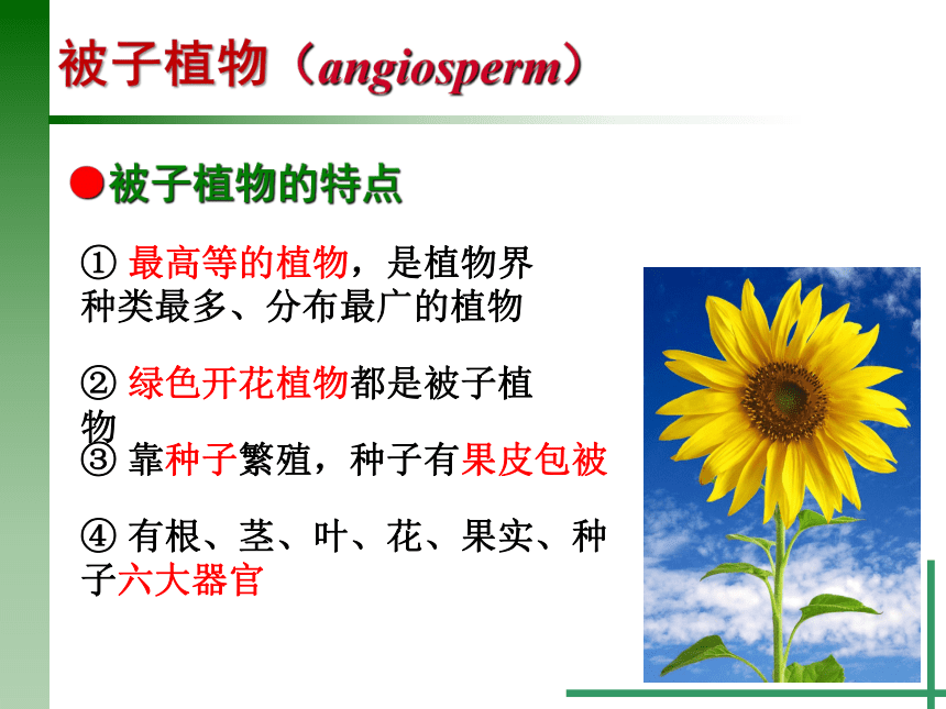 2.5 常见的植物（1）种子植物（课件 23张ppt）