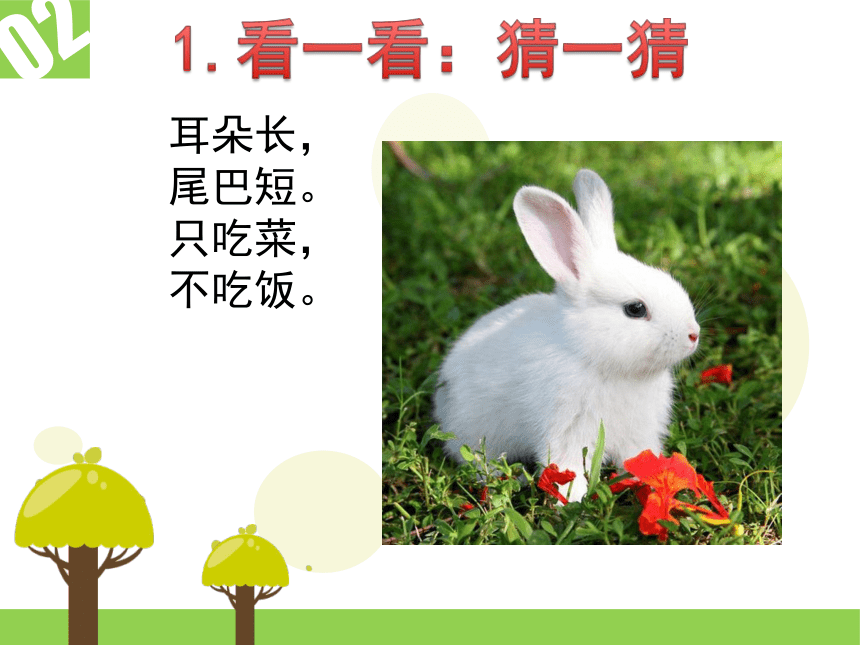 辽海版三年级下册美术 课件 第8课 动物朋友 (共11张PPT)