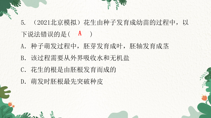 人教版生物七年级上册 第三单元生物圈中的绿色植物章末总结第二章被子植物的一生课件(共31张PPT)