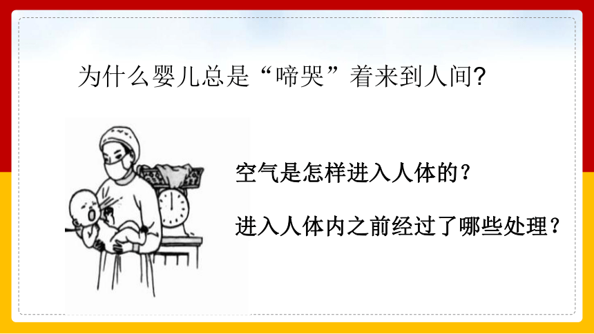 10.3人体和外界环境的气体交换课件(共27张PPT)