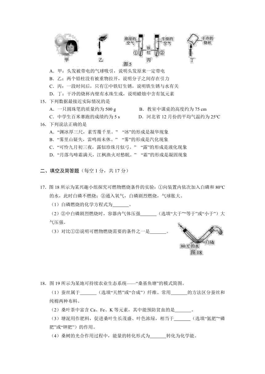 2022年河北省中考化学真题试卷（word版，含答案）