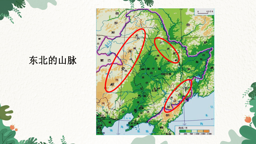 人教版地理八年级下册 6.2“白山黑水”——东北三省课件(共50张PPT)