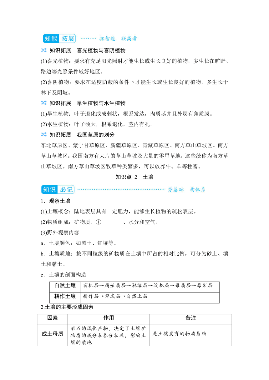 2023届高三地理一轮复习学案  专题五  自然地理环境的整体性与差异性（含答案）