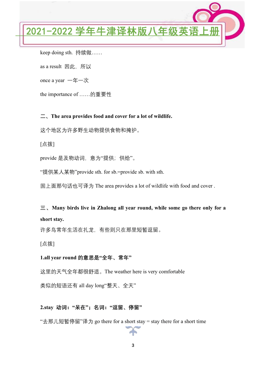 牛津译林版八年级英语上册Unit 6 Bird watching 重要知识点讲解