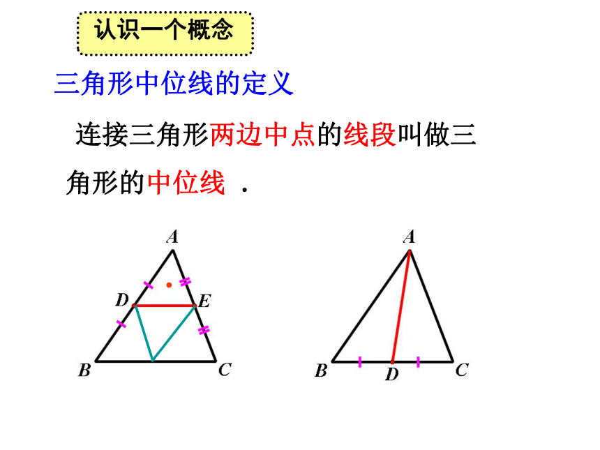 鲁教版八年级数学上册 5.3 三角形的中位线 课件（共21张ppt）