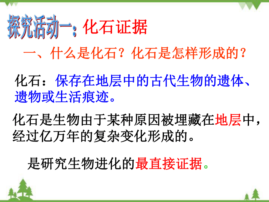 济南版生物八年级下册 第五单元 第一章 第二节 《生物进化的证据》课件2(21张ppt)