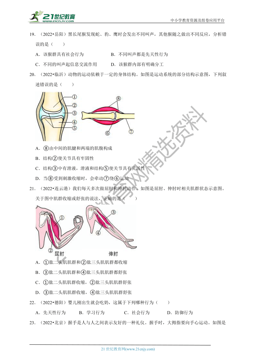 【备考2023】2022年中考生物真题分类汇编5——动物的运动和行为部分（含解析）