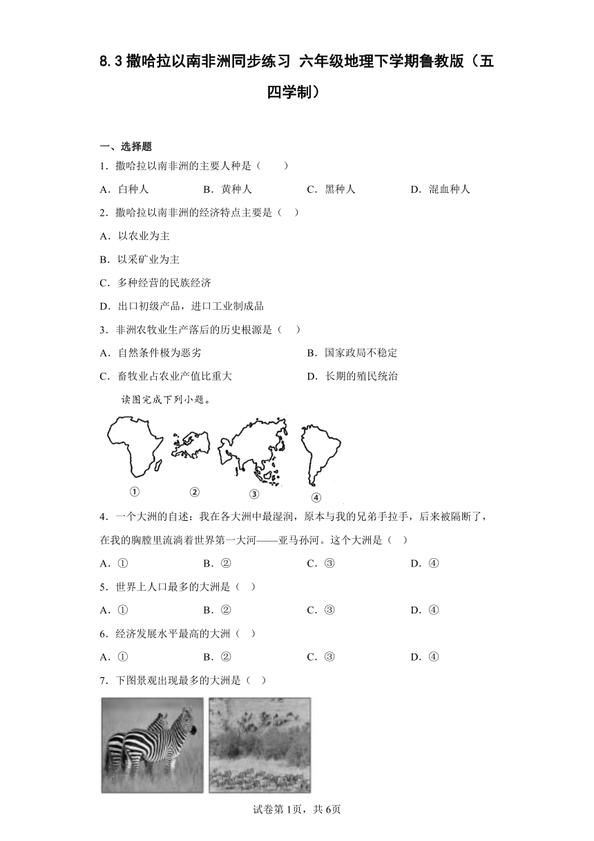 8.3撒哈拉以南非洲同步练习（含答案） 六年级地理下学期鲁教版（五四学制）