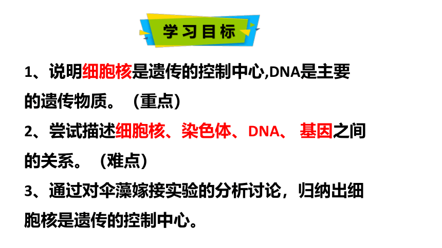 2021--2022学年济南版生物八年级上册 4.4.1遗传的物质基础课件（共25张PPT ）