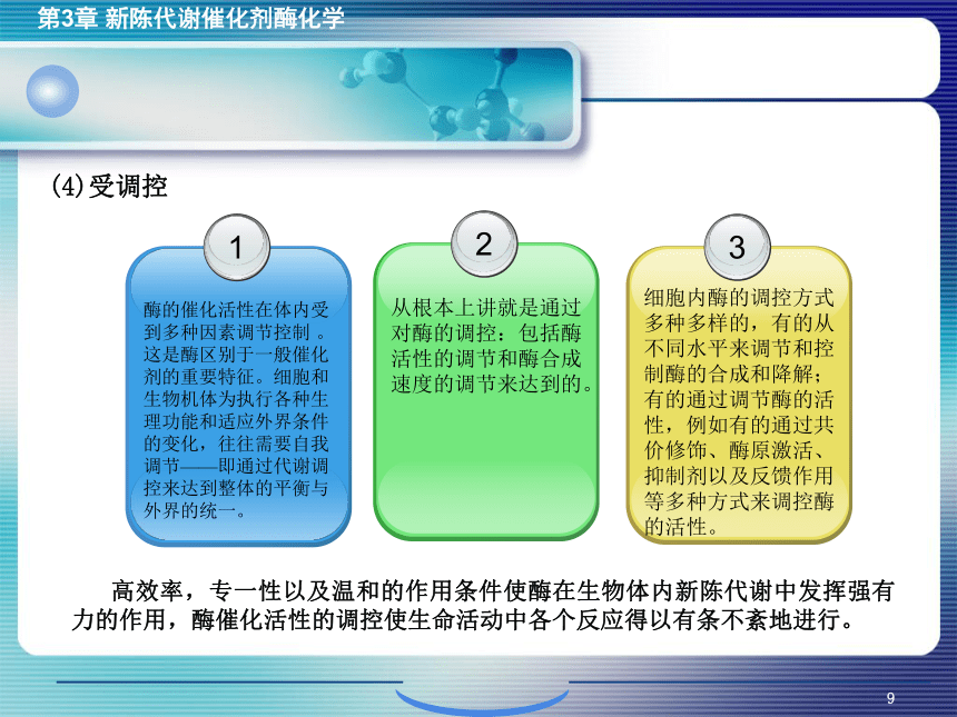 3.1酶的概述 课件(共27张PPT)- 《环境生物化学》同步教学（机工版·2020）