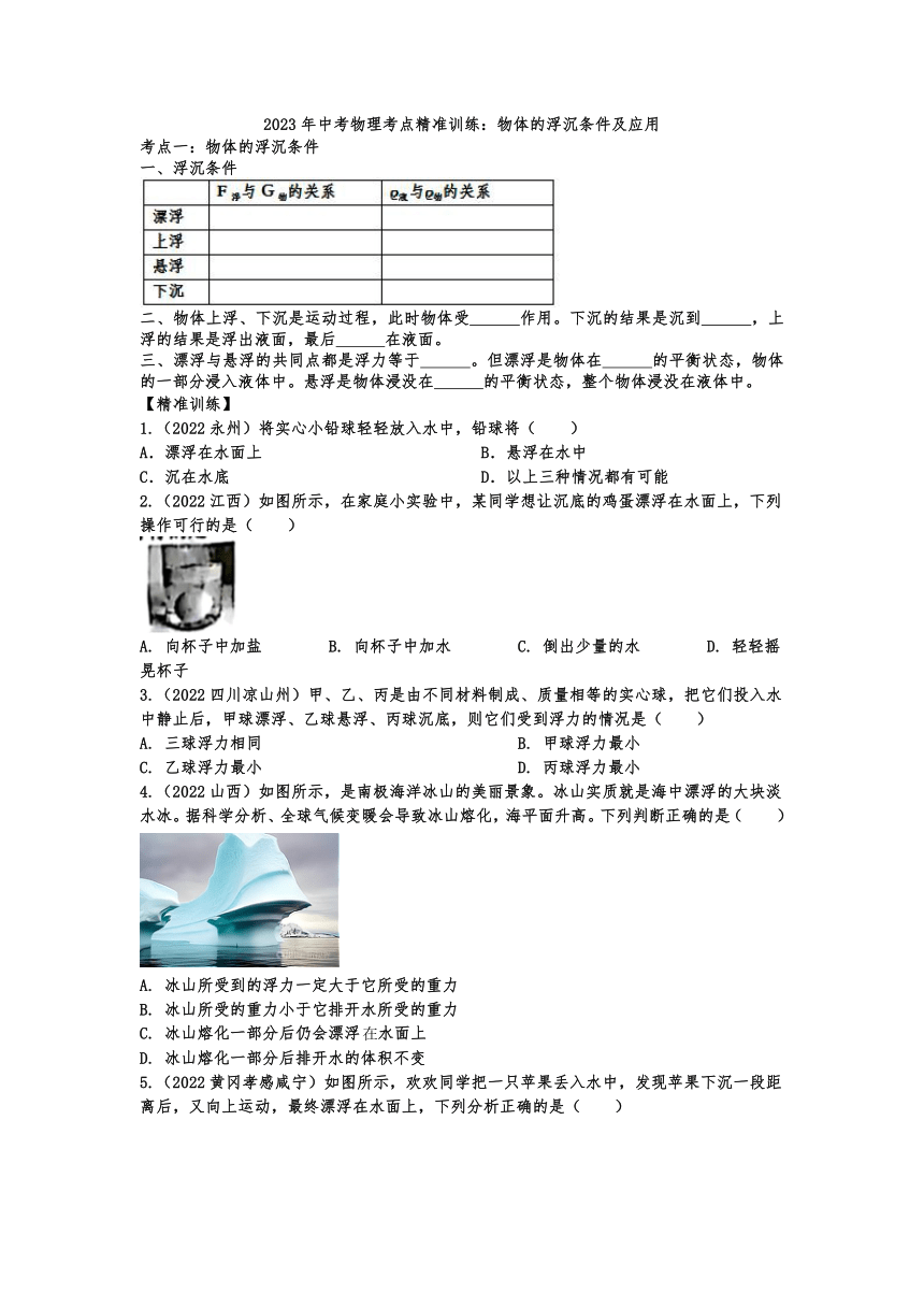 2023年中考物理考点精准训练：物体的浮沉条件及应用（含答案）