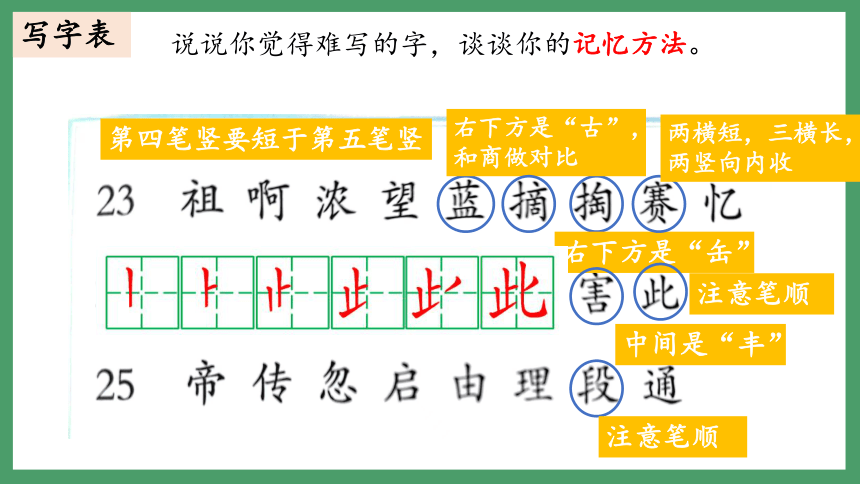 统编版二年级下册语文 第八单元复习（课件） (共32张PPT)