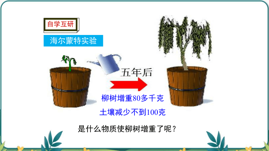 3.5.1光合作用吸收二氧化碳释放氧气课件(共45张PPT) 2022-2023学年人教版生物七年级上册