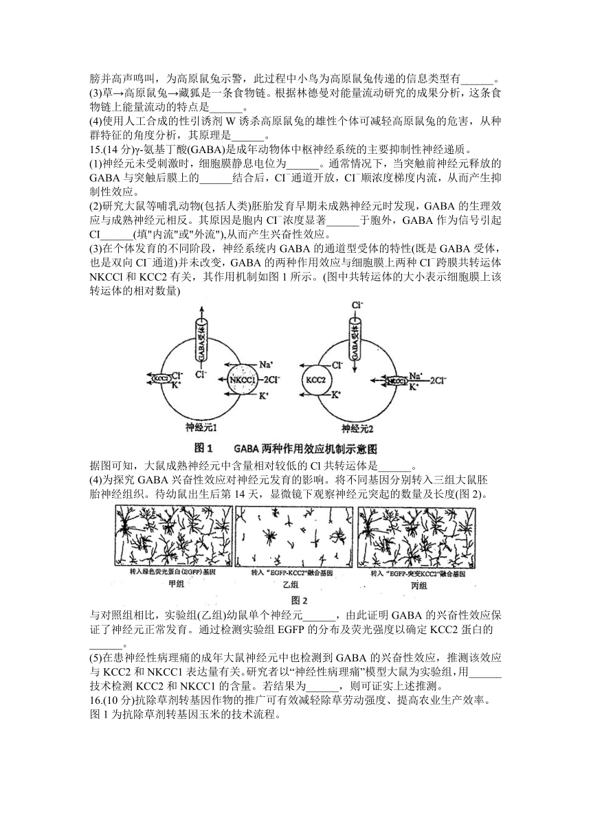 2023届天津市重点中学高三下学期第六次模拟考试生物学试题（Word版含答案）