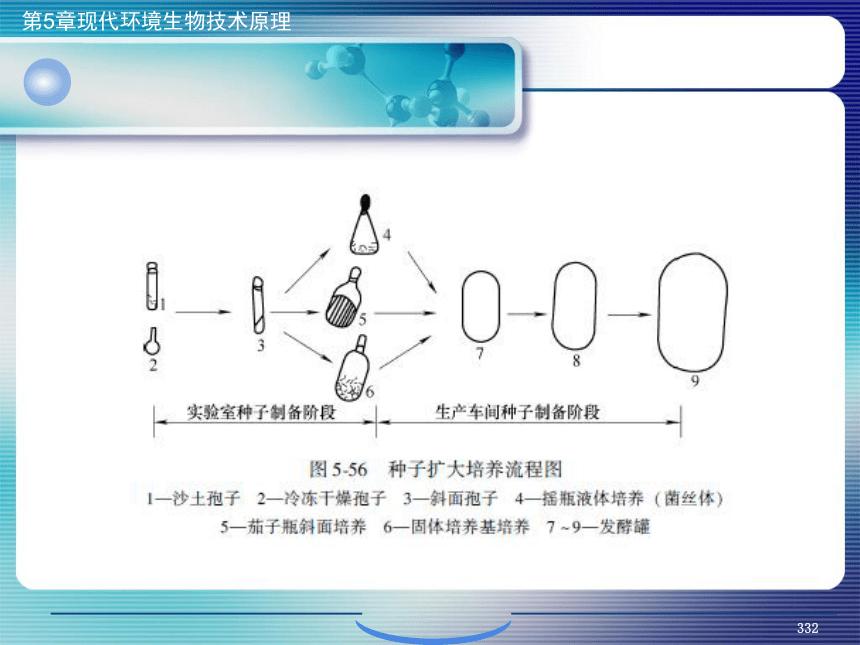 5.现代环境生物技术原理_12 课件(共41张PPT）- 《环境生物化学》同步教学（机工版·2020）