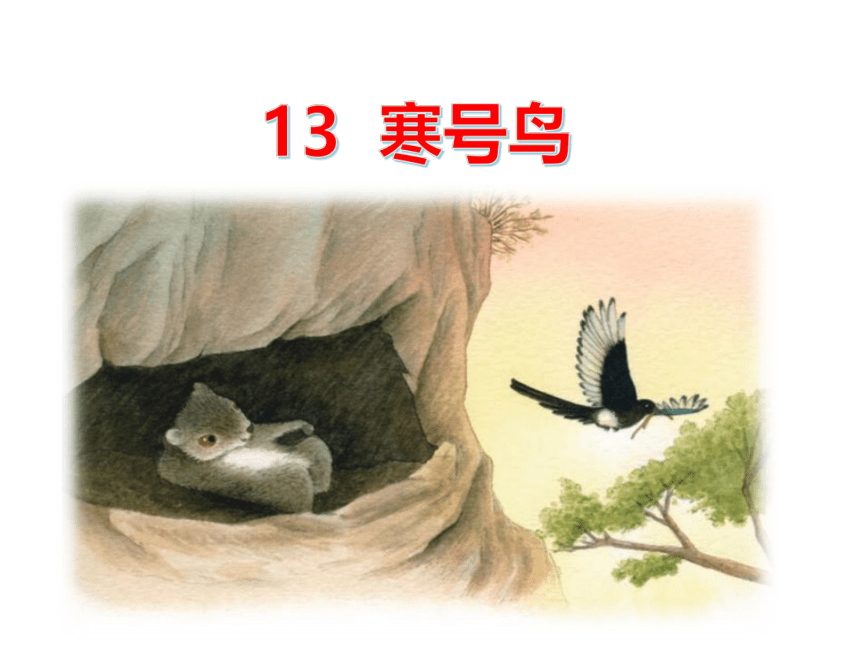 13  寒号鸟  课件（33张）