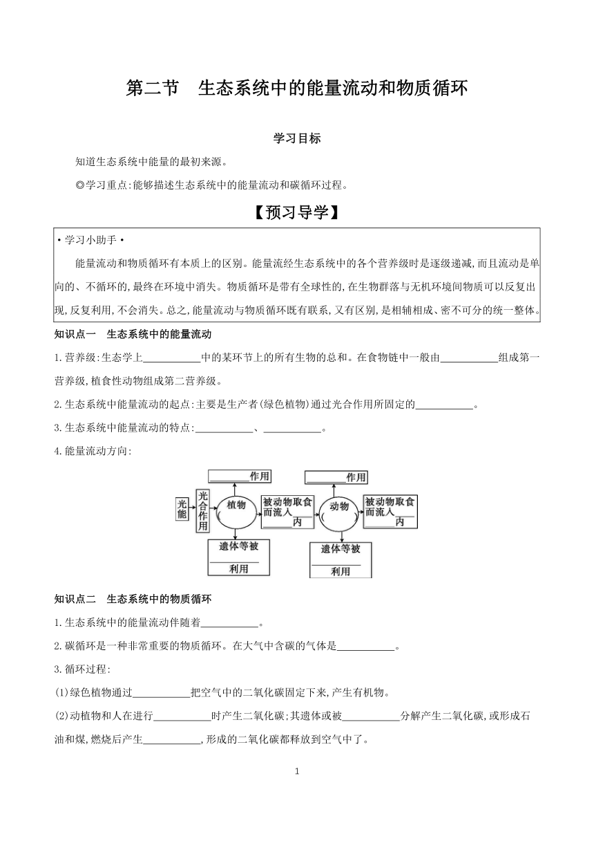 7.19.2 生态系统中的能量流动和物质循环 学案（含答案） 2023-2024学年生物苏教版八年级上册