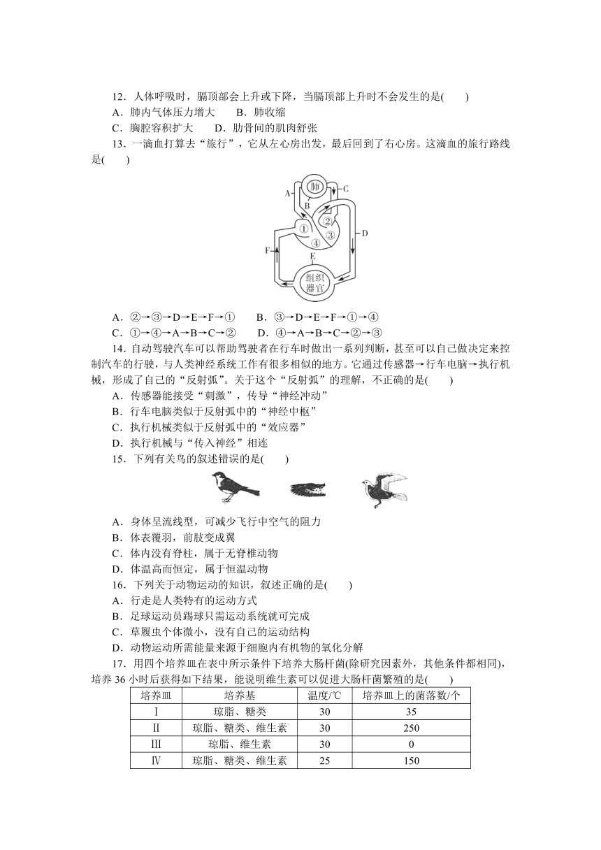 2021年广东省初中生学业考试生物模拟试卷    （Word版 含答案）