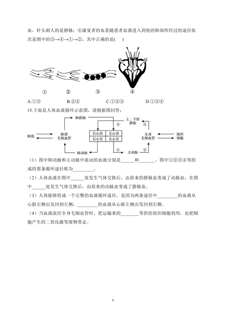 2023届人教版中考生物高频考点专项练习：专题十 考点25 血液循环（B卷）（含解析）