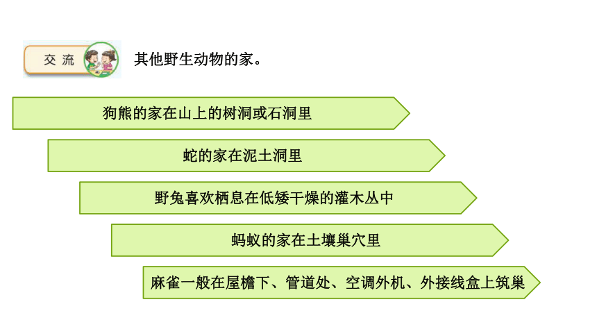 苏教版（2017秋）科学四年级下册 5.16 动物的庇护所 课件（17张PPT）