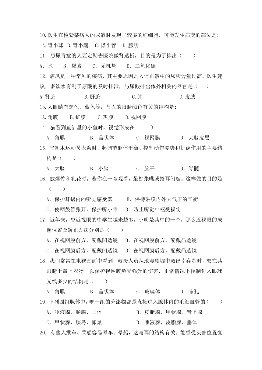 广西玉林市育才中学2021-2022学年人教版八年级上学期入学考试生物试卷（无答案）