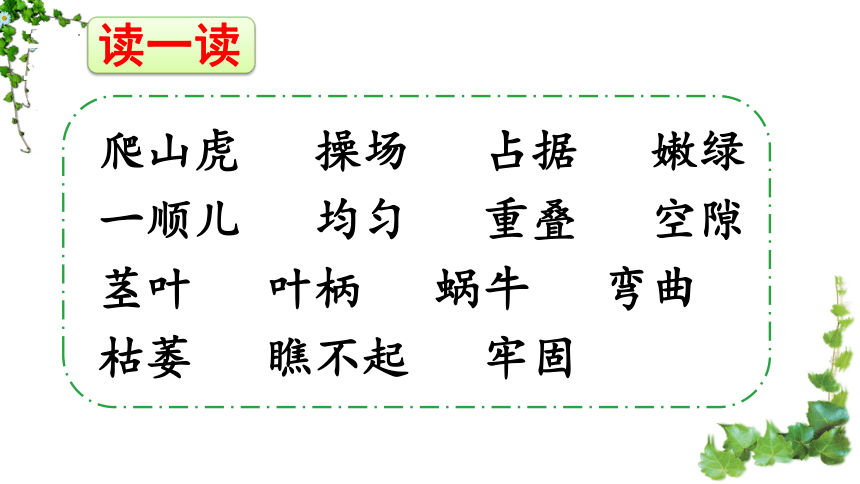 10爬山虎的脚  课件 (共24张PPT)