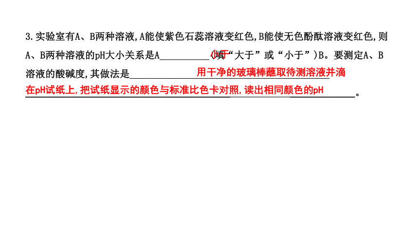 九年级化学下册第10单元 实验活动7 溶液酸碱性的检验课件 人教版(共19张PPT)