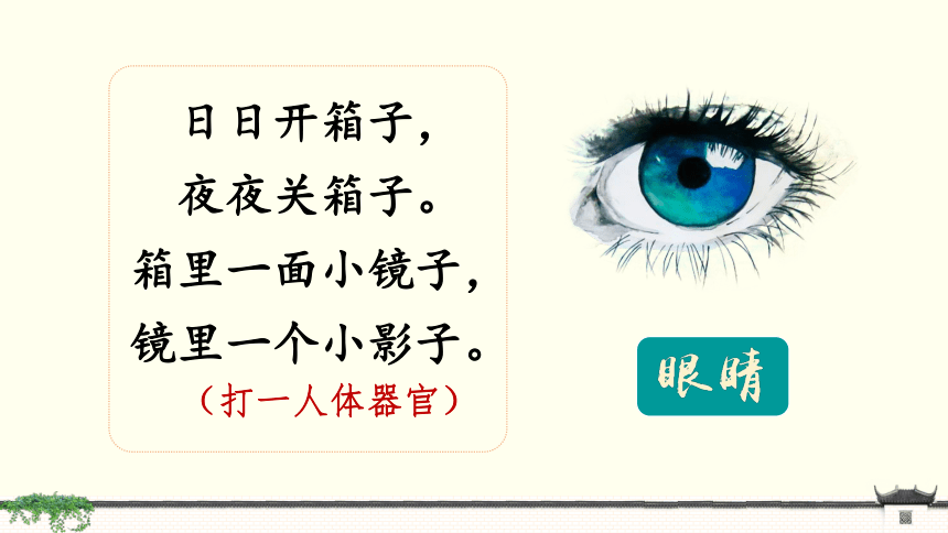 四年级上册语文 口语交际：爱护眼睛，保护视力  课件(共18张PPT)