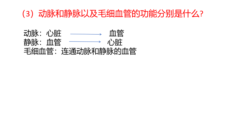 济南版七年级下册生物 3.3物质运输的途径 课件（19张PPT）