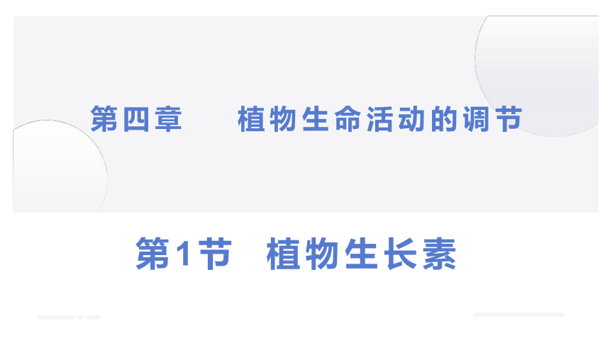 4.1+植物生长素（课件）-2022-2023学年高二生物同步精品课堂（苏教版2019选择性必修1）(共38张PPT)