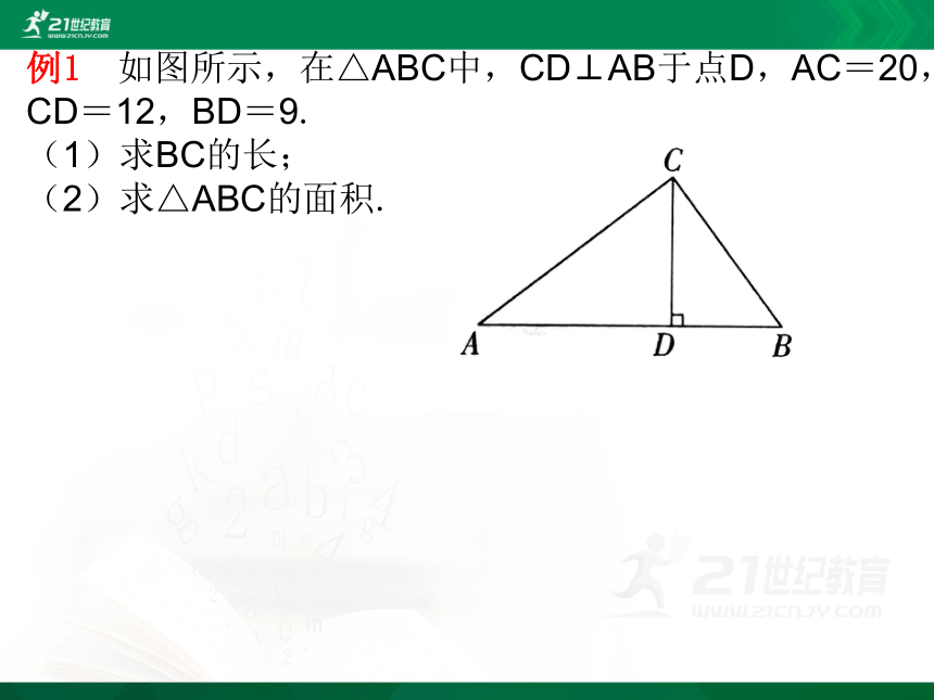 10.3 直角三角形课件（共30张PPT）