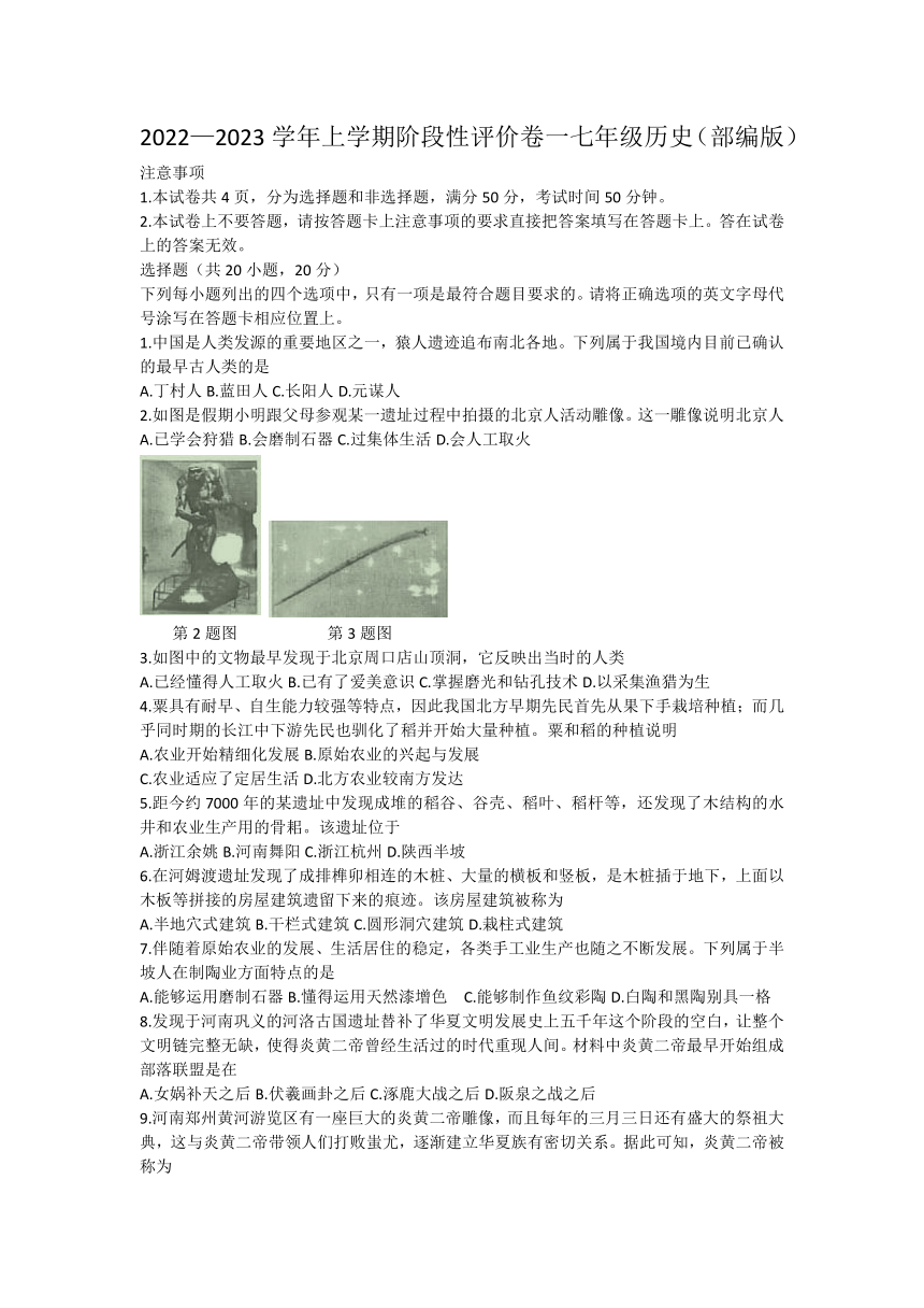 河南省林州市2022-2023学年七年级上学期第一次阶段评价历史试题（含答案）