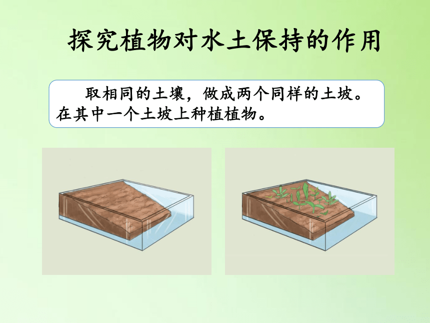 湘科版科学三年级上册 3.4 土壤的保护（课件17ppt）