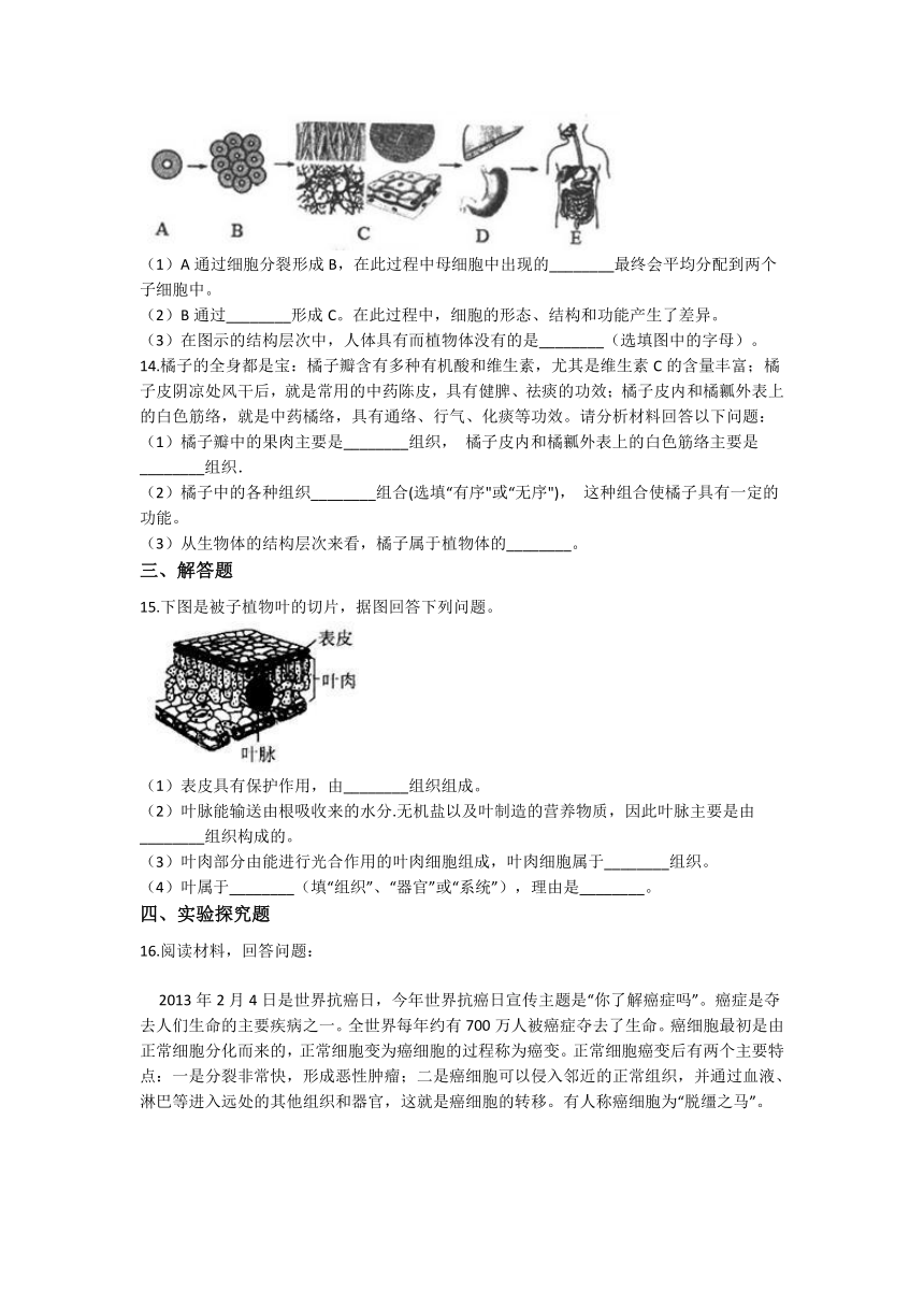 2.3生物体的结构层次同步练习---2021—2022学年浙教版七上科学（含答案）