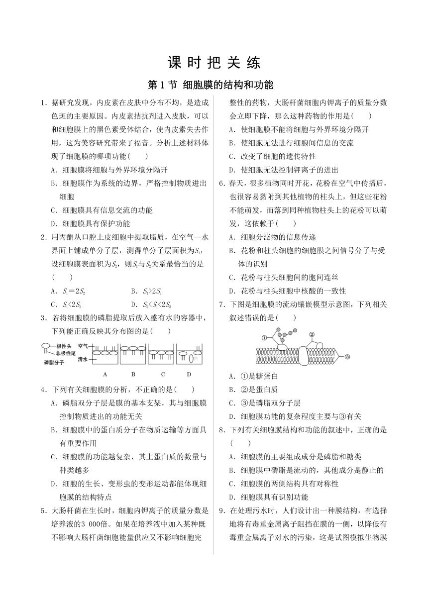 3.1细胞膜的结构和功能同步练习（有答案）2022-2023学年高一上学期生物人教版必修1