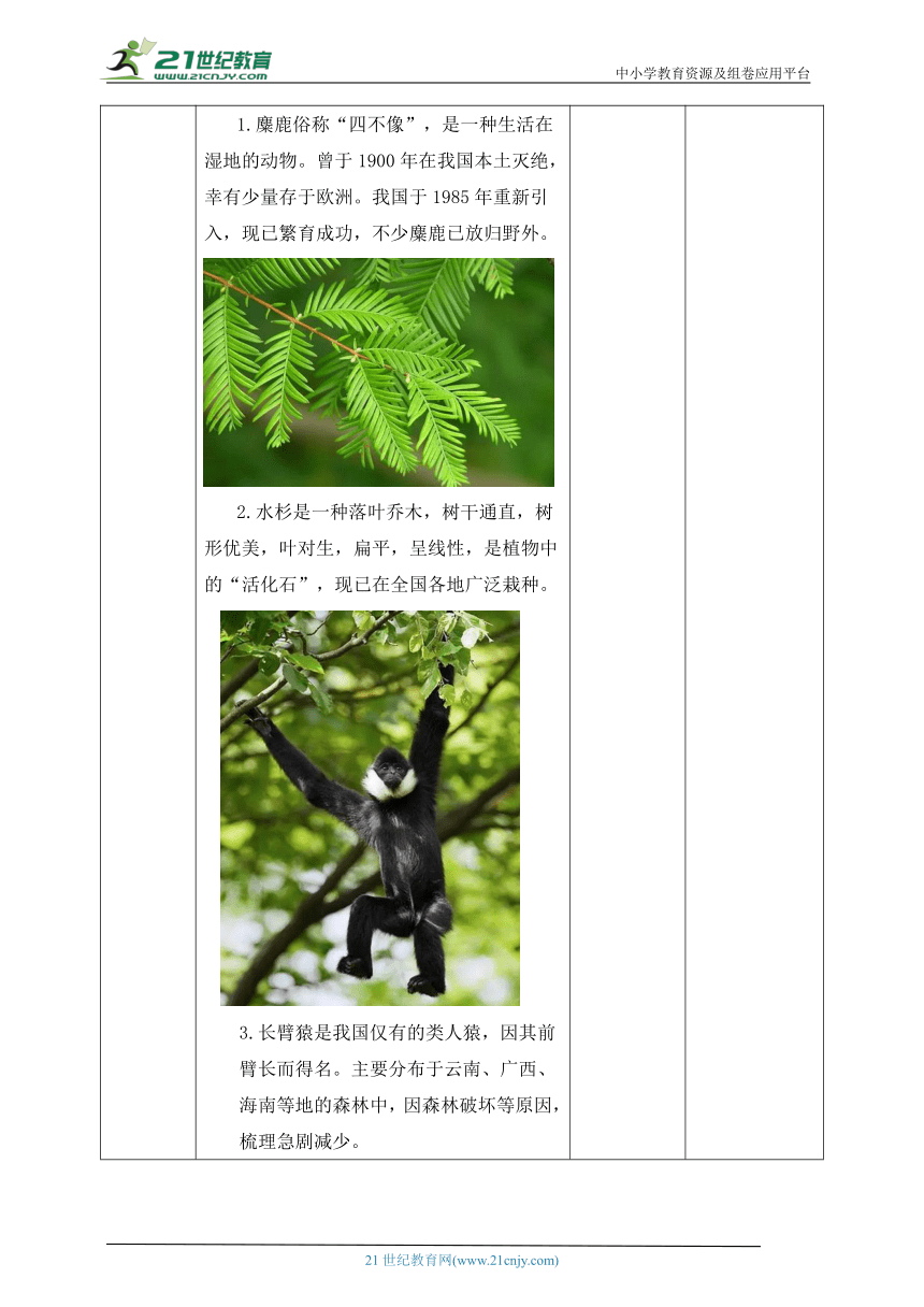 【核心素养目标】人教版八年级生物上册6.3保护生物的多样性   教学设计