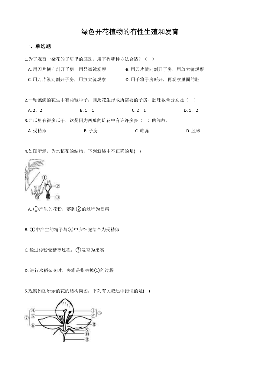 2020-2021学年华东师大版科学七年级下册 7.1绿色开花植物的有性生殖和发育   同步练习   含答案