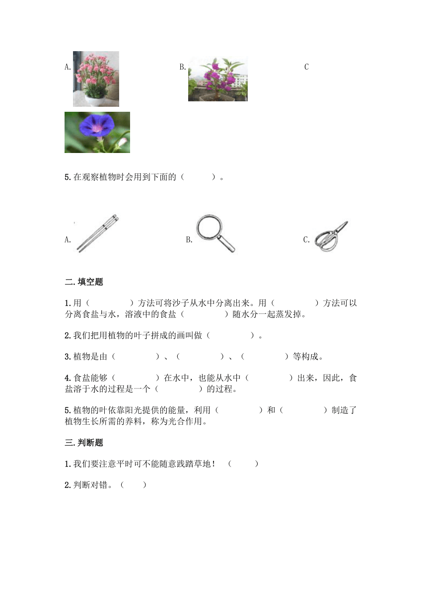 2021-2022学年教科版（2017秋）科学一年级上册第一单元 植物 单元测试卷（含答案）